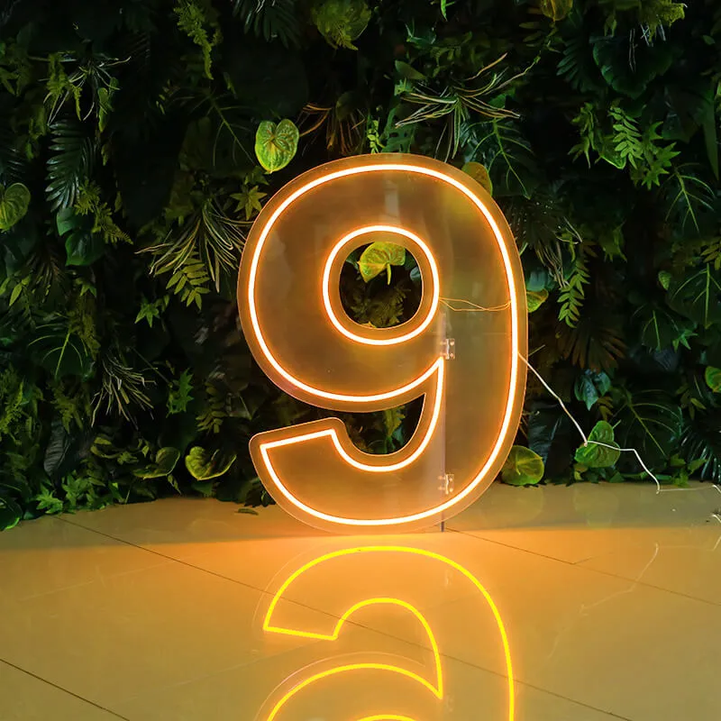 Custom 0 to 9 Number LED Neon Sign Wall Letters Light Party Decoration