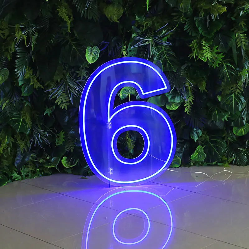 Custom 0 to 9 Number LED Neon Sign Wall Letters Light Party Decoration