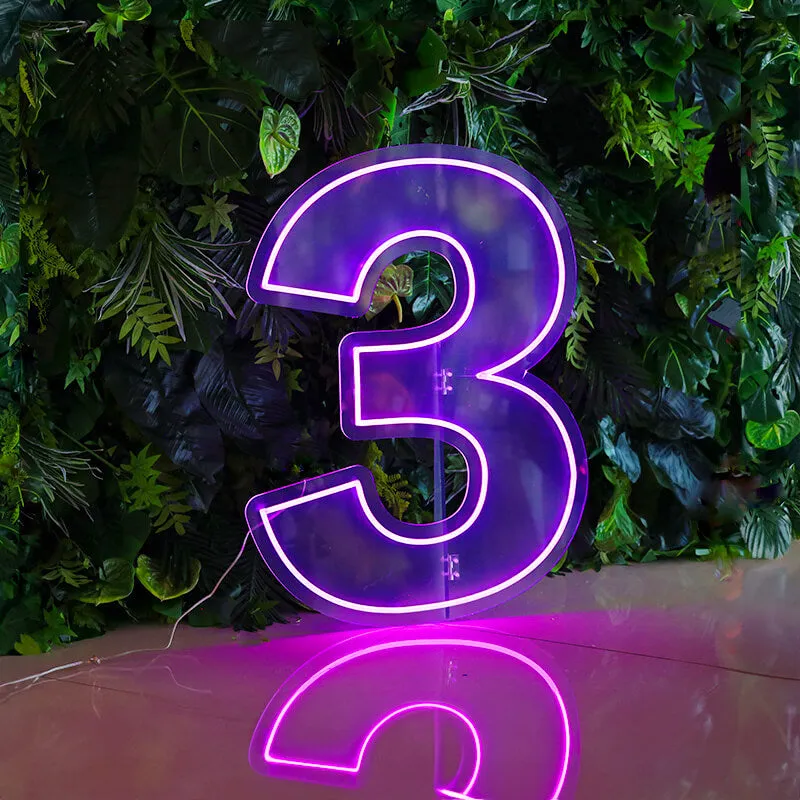 Custom 0 to 9 Number LED Neon Sign Wall Letters Light Party Decoration