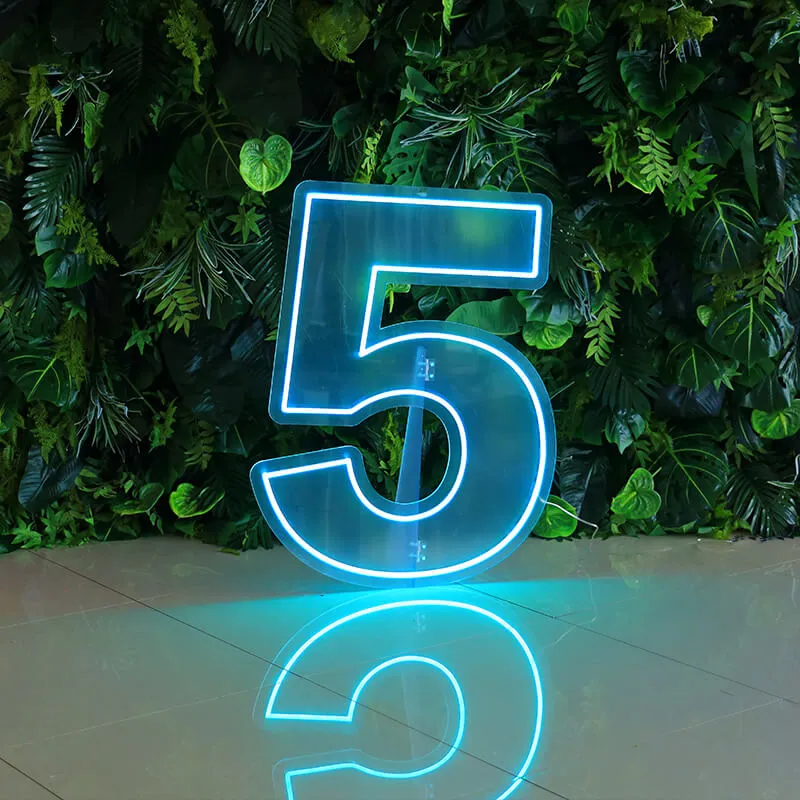 Custom 0 to 9 Number LED Neon Sign Wall Letters Light Party Decoration