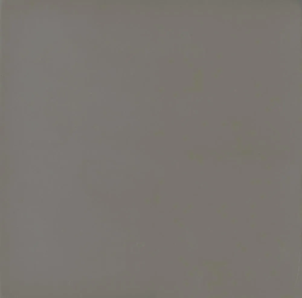 Deepika 4-Panel Folding Screen Gray Driftwood
