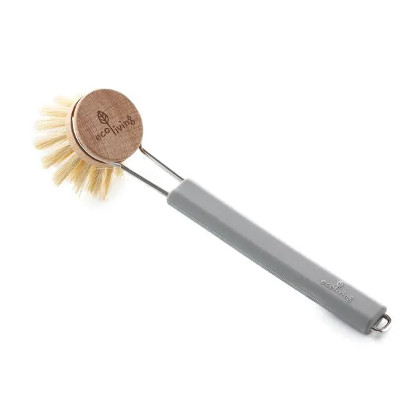 Dish brush with replaceable head
