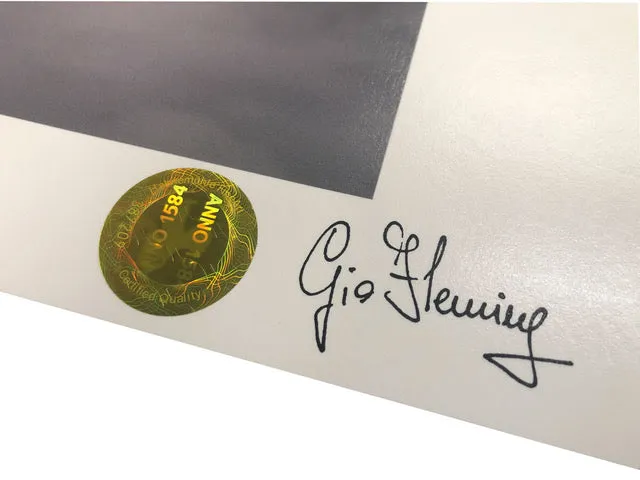 Gio Fleming -  Mirror, Mirror On The Wall