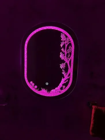 HIMANS Diamond Capsule Shaped Led Mirror with First/Second/Third Touch Sensor. Pink Light Silver Mirror.Stunning Home Diamond Decor Mirror.