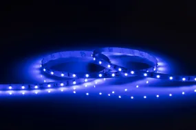 Knightsbridge LFC24B5M 24V IP20 LED Flex Blue (5 metres)