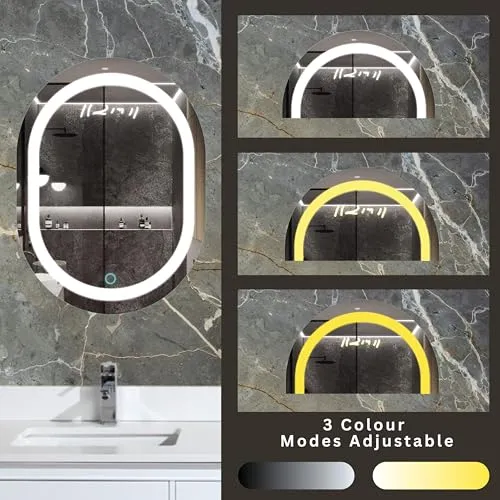 LED Bathroom Mirror, 24"x18" Capsule Oval Metal Framed Vanity Mirror, Wall Mirror with 3-Color Adjustable Warm/Natural/White Light, 6000k-3000k CT, (Black Capsule)