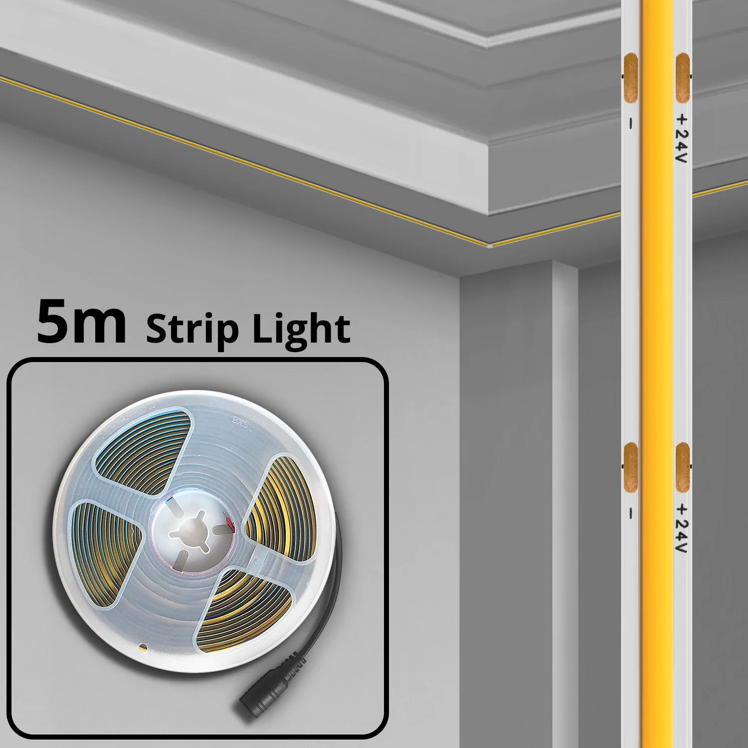LED Strip (5m)
