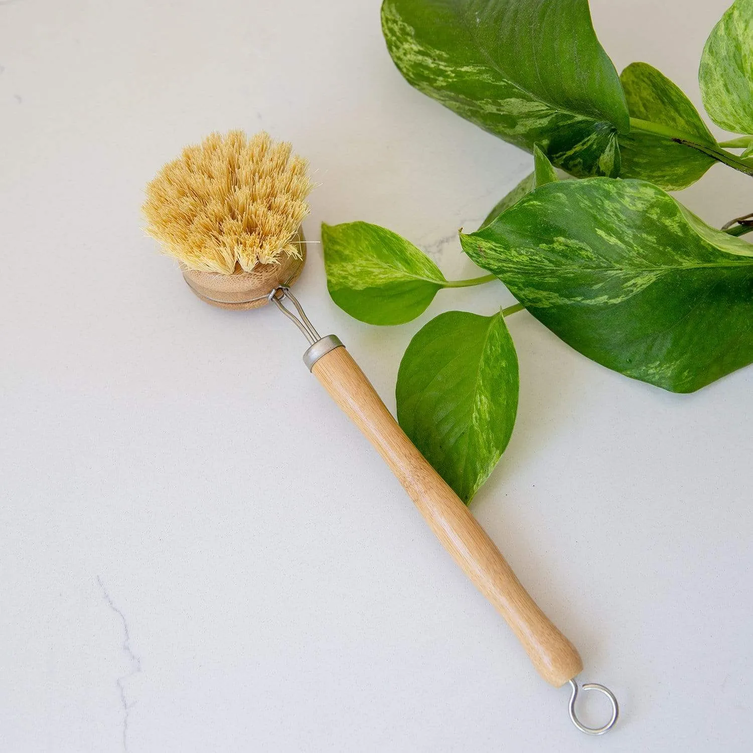 Long Handle Dish Brush - Agave Dish Brush, Replaceable Heads