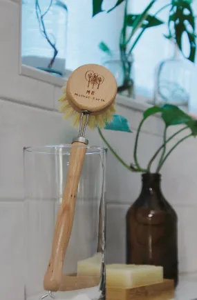 Me Mother Earth: Beechwood   Sisal Fiber Kitchen Dish Brush