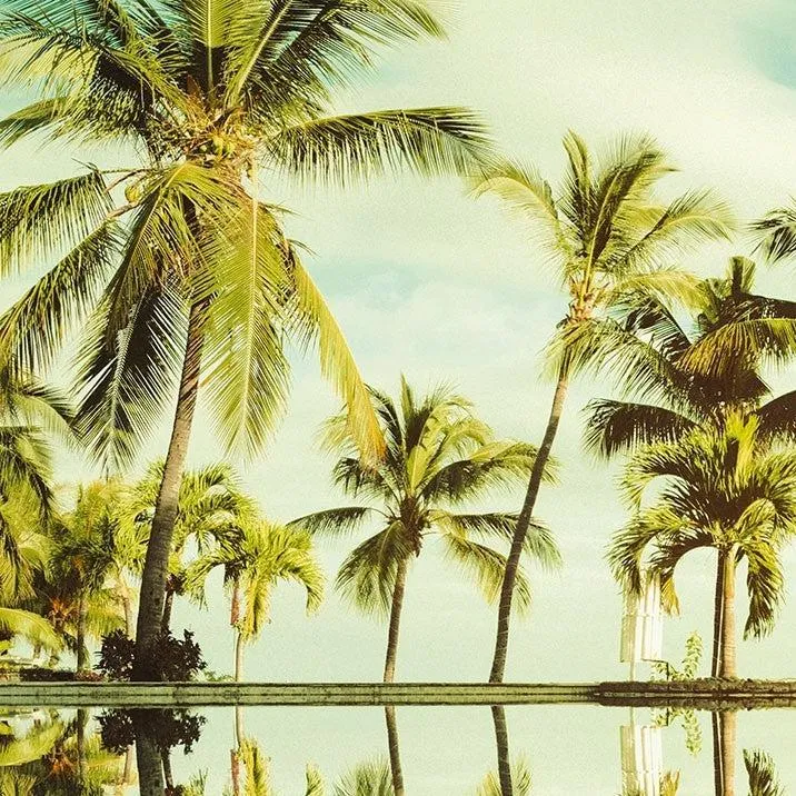Mirror in the Palms Mural Wallpaper