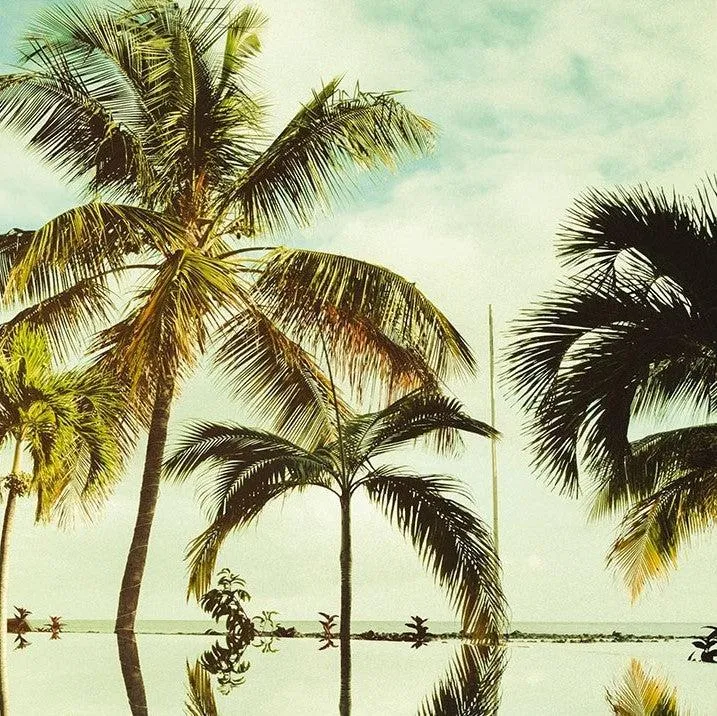 Mirror in the Palms Mural Wallpaper