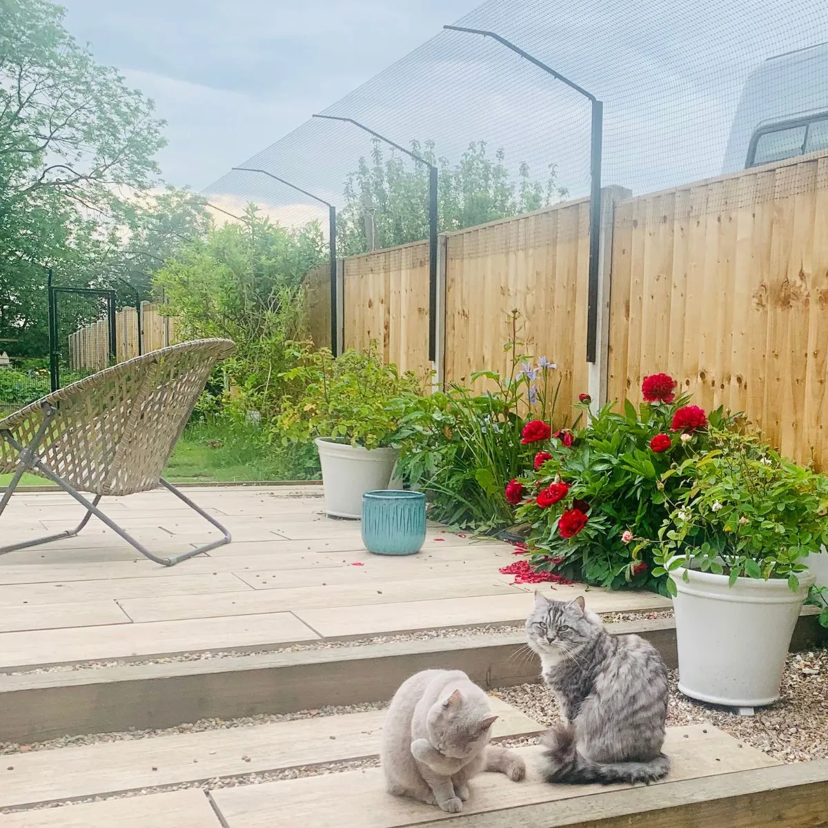 ProtectaPet® Cat Fence Extension Barrier Kit