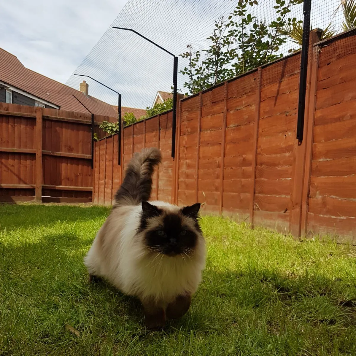 ProtectaPet® Cat Fence Extension Barrier Kit