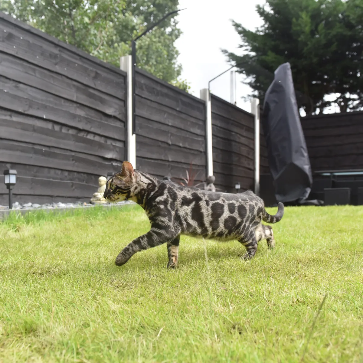 ProtectaPet® Cat Fence Extension Barrier Kit