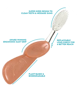 Radius Big Brush w/ Replaceable Head