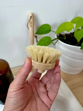 Refill Head for New Dish brushes - Sisal